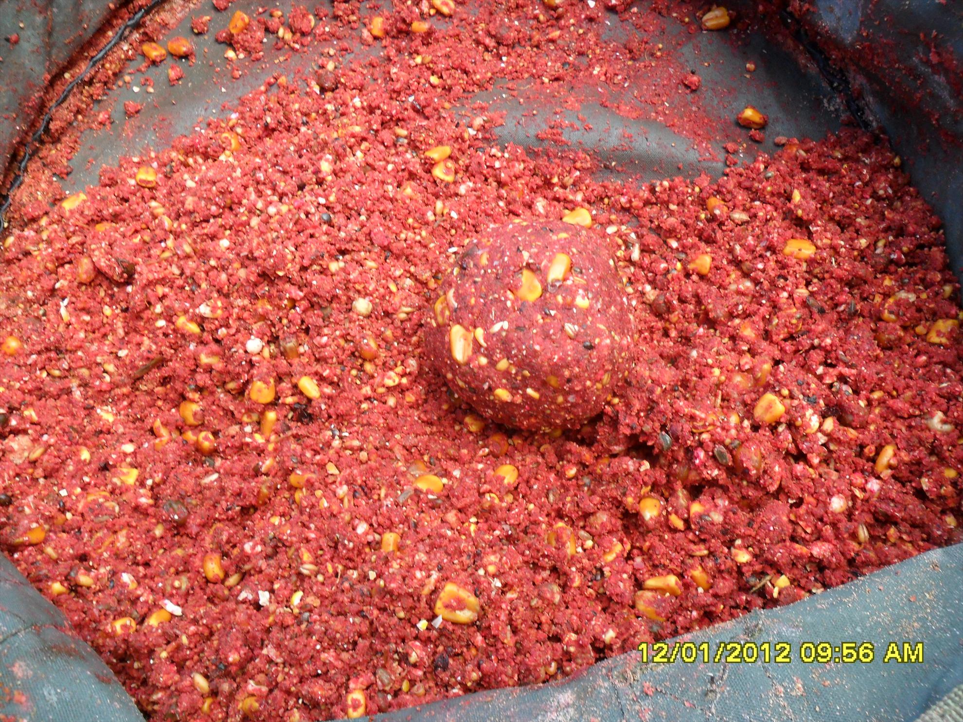 Magura 9 26 - 26 mai. - sam0709.JPG